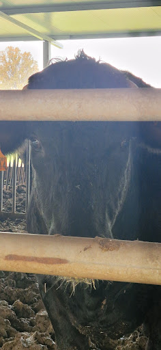 media thumbnail 6